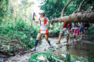 BIB: 
                            <button type="button" onclick="openModal(25467165)" class="btn btn-primary btn-sm float-right btn-popup" data-toggle="modal" data-target=".modal-high-quality">
                        <i class="fas fa-shopping-cart"></i> Add to Cart
                    </button>
                                            <button type="button" onclick="isThisMe(25467165, true)" class="btn btn-success btn-sm float-right btn-popup btn-isme hidden" data-toggle="tooltip" data-placement="bottom" title="นี่คือรูปของคุณใช่ไหม คลิกที่นี่เพื่อเอาเข้าอัลบั้ม">
                        <i class="fas fa-plus"></i> Add to album
                    </button>
                    <button type="button" onclick="isThisMe(25467165, false)" class="btn btn-warning btn-sm float-right btn-popup btn-isnotme hidden">
                        <i class="fas fa-ban"></i> Remove from album
                    </button>